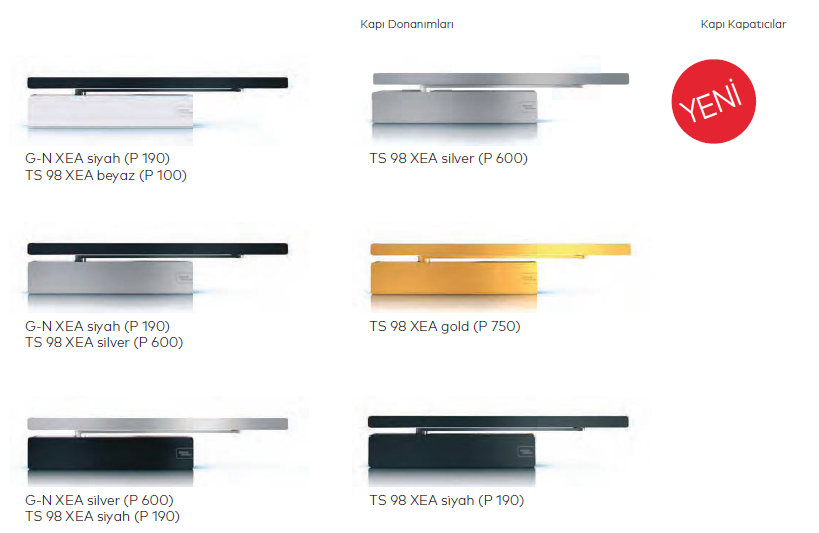 Dorma TS 98 xea Kapı Kapatıcı